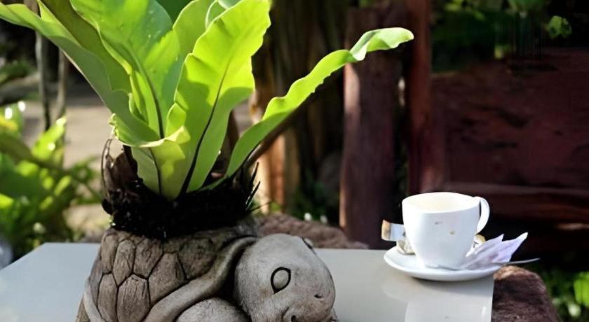 Tanisa Resort Csumphon Kültér fotó